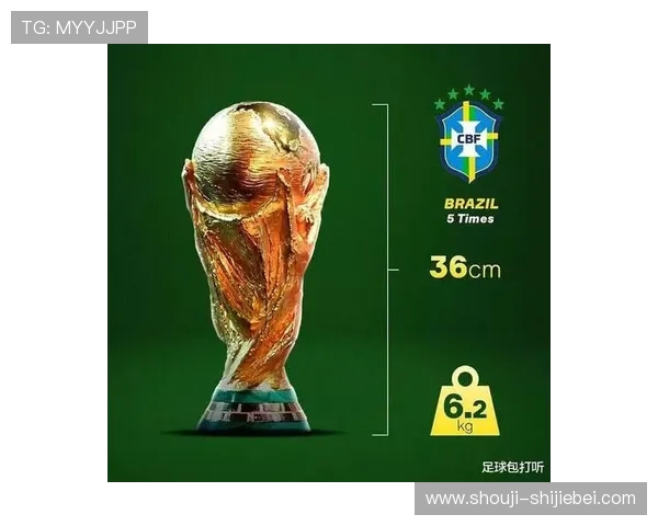 世界杯全场最佳奖杯的评选标准与历史背景详解助你全面了解赛事中的最高荣誉