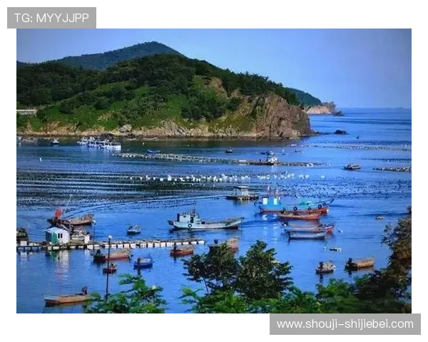 下载看球通体育直播软件,轻松实现足球比赛的实时观看和精彩回放,提升你的观赛乐趣